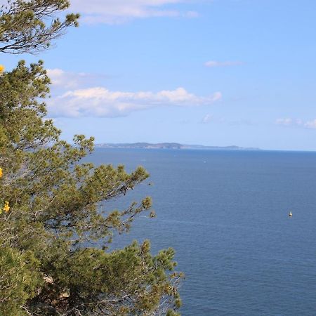 Studio L'Echappee Mandreenne Le Calme Entre Mer Et Foret Saint-Mandrier-sur-Mer Exterior photo