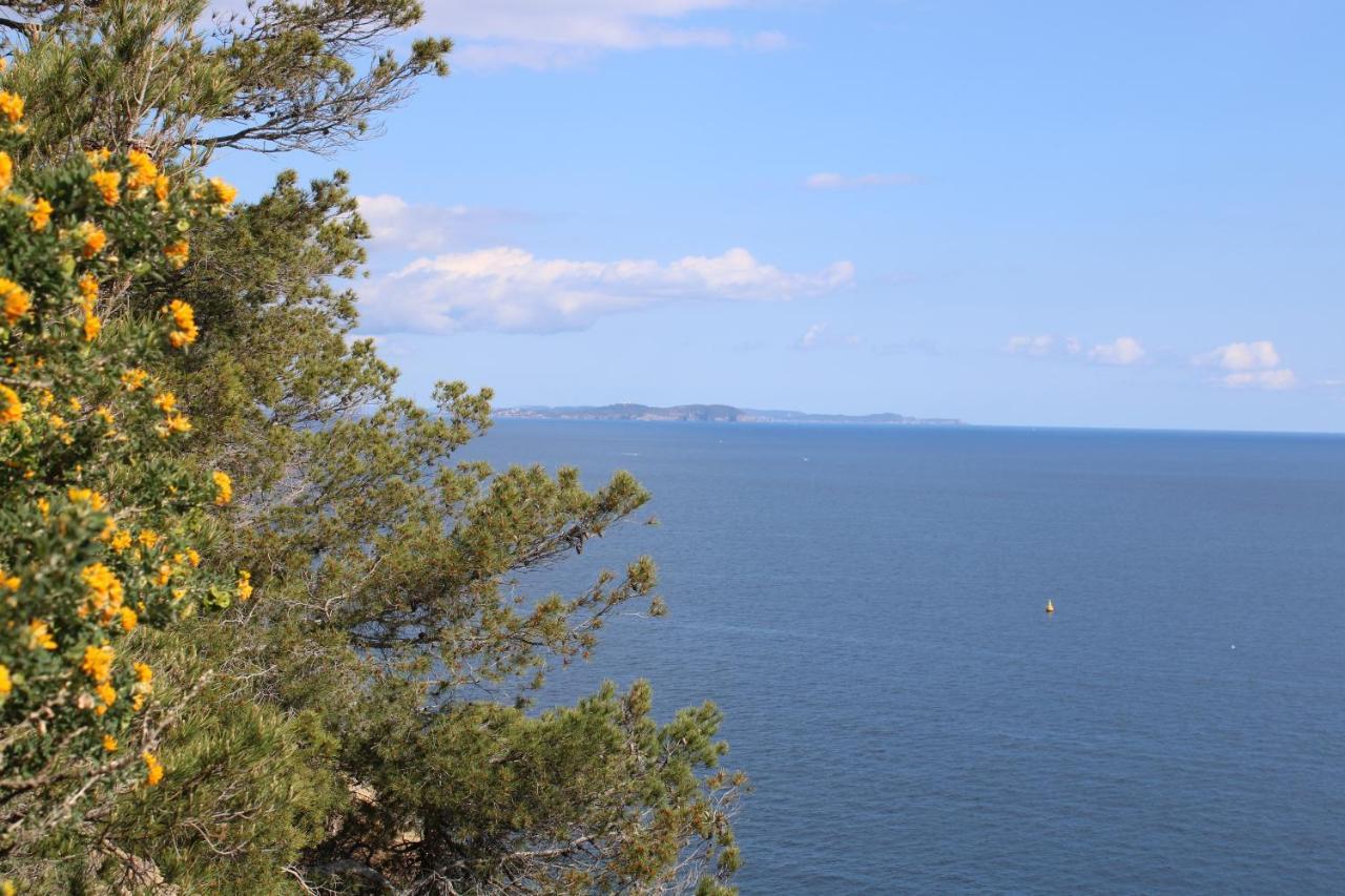 Studio L'Echappee Mandreenne Le Calme Entre Mer Et Foret Saint-Mandrier-sur-Mer Exterior photo